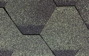 Lower Blandford St Mary fibreglass shingle repairs