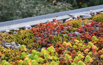 the cost of Lower Blandford St Mary green roof installation