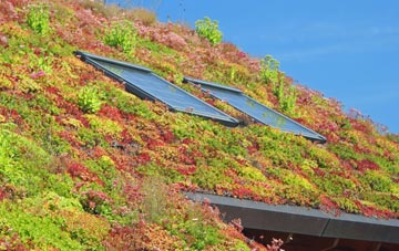 Lower Blandford St Mary living roof systems