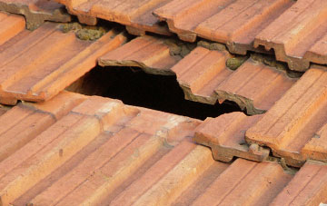 roof repair Lower Blandford St Mary, Dorset