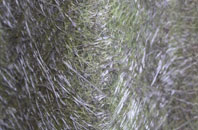 Lower Blandford St Mary fibreglass roof work